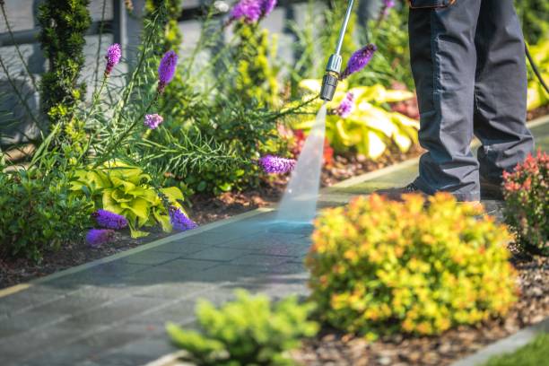 Best Fence Cleaning  in Laurel, DE